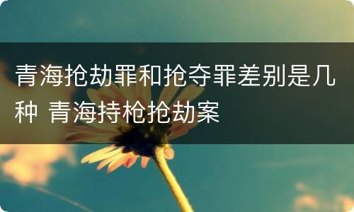 青海抢劫罪和抢夺罪差别是几种 青海持枪抢劫案