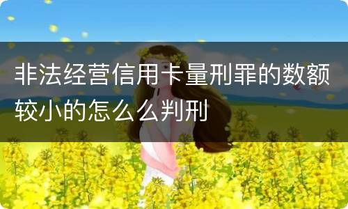 非法经营信用卡量刑罪的数额较小的怎么么判刑