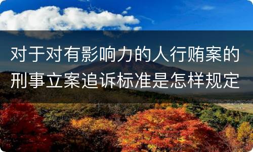 对于对有影响力的人行贿案的刑事立案追诉标准是怎样规定