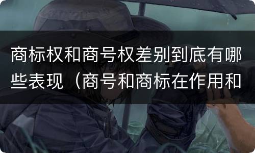 商标权和商号权差别到底有哪些表现（商号和商标在作用和性质上的区别）