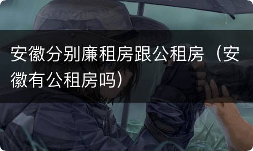 安徽分别廉租房跟公租房（安徽有公租房吗）