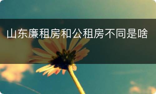 山东廉租房和公租房不同是啥
