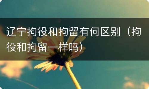 辽宁拘役和拘留有何区别（拘役和拘留一样吗）