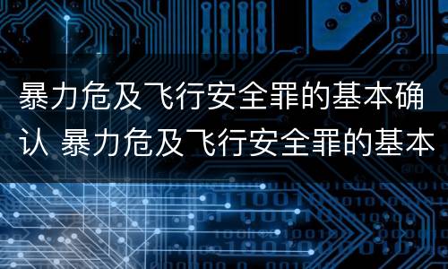暴力危及飞行安全罪的基本确认 暴力危及飞行安全罪的基本确认原则