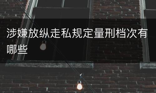 涉嫌放纵走私规定量刑档次有哪些