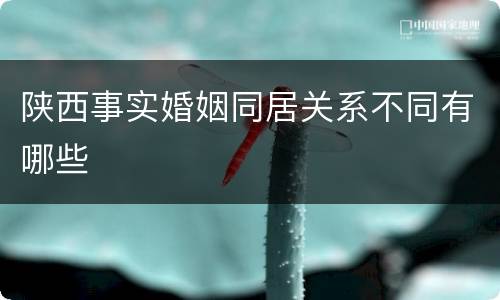 陕西事实婚姻同居关系不同有哪些
