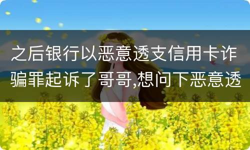 之后银行以恶意透支信用卡诈骗罪起诉了哥哥,想问下恶意透支信用卡诈骗罪如何判罚