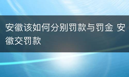 安徽该如何分别罚款与罚金 安徽交罚款