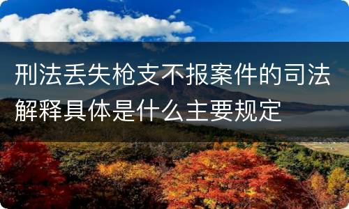 刑法丢失枪支不报案件的司法解释具体是什么主要规定