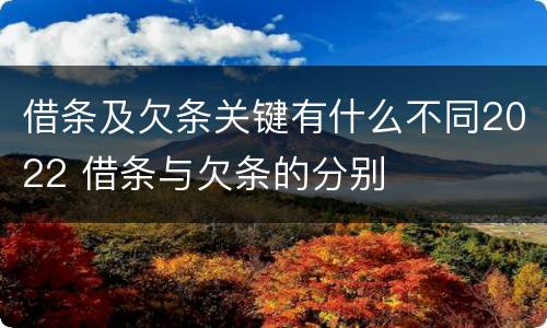 借条及欠条关键有什么不同2022 借条与欠条的分别