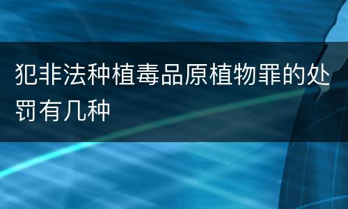 犯非法种植毒品原植物罪的处罚有几种