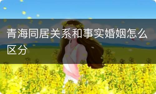 青海同居关系和事实婚姻怎么区分