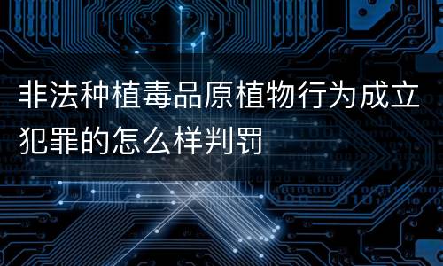 非法种植毒品原植物行为成立犯罪的怎么样判罚