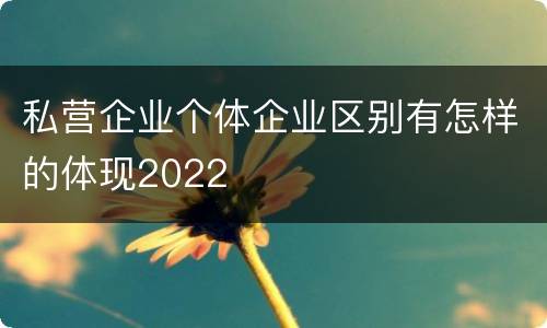 私营企业个体企业区别有怎样的体现2022