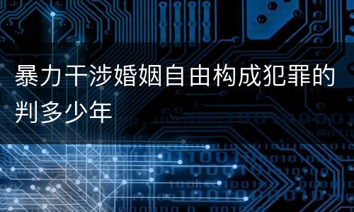 暴力干涉婚姻自由构成犯罪的判多少年
