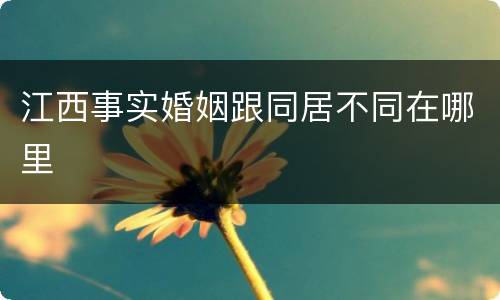 江西事实婚姻跟同居不同在哪里