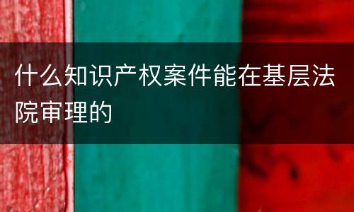 什么知识产权案件能在基层法院审理的