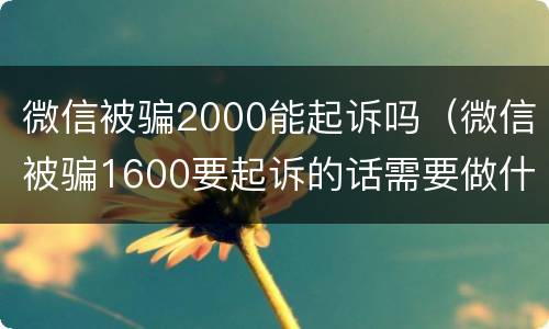 微信被骗2000能起诉吗（微信被骗1600要起诉的话需要做什么）
