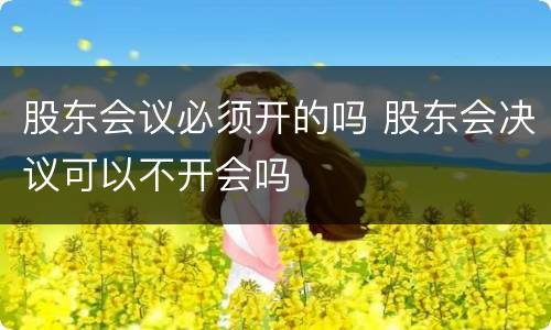 股东会议必须开的吗 股东会决议可以不开会吗