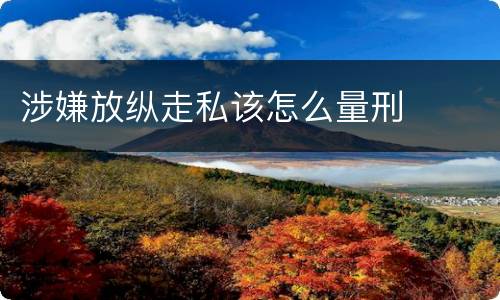 涉嫌放纵走私该怎么量刑