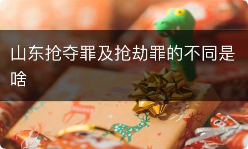 山东抢夺罪及抢劫罪的不同是啥