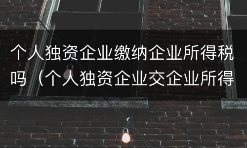 个人独资企业缴纳企业所得税吗（个人独资企业交企业所得税吗）