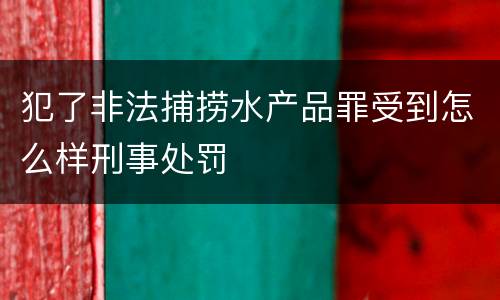 犯了非法捕捞水产品罪受到怎么样刑事处罚