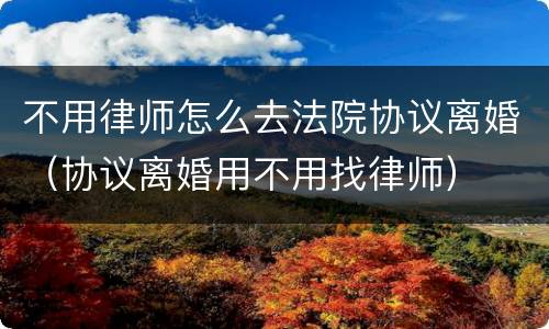 不用律师怎么去法院协议离婚（协议离婚用不用找律师）