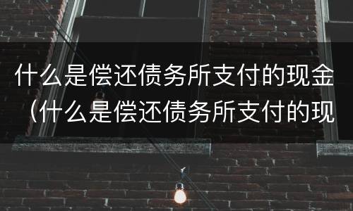 什么是偿还债务所支付的现金（什么是偿还债务所支付的现金价值）