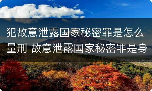 犯故意泄露国家秘密罪是怎么量刑 故意泄露国家秘密罪是身份犯吗