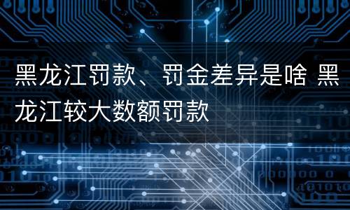 黑龙江罚款、罚金差异是啥 黑龙江较大数额罚款