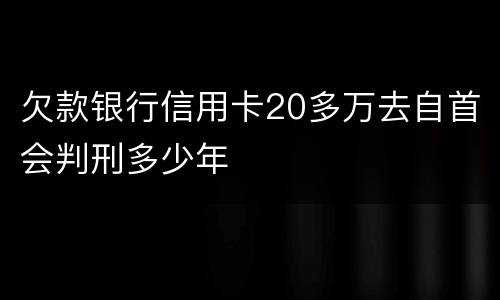 欠款银行信用卡20多万去自首会判刑多少年