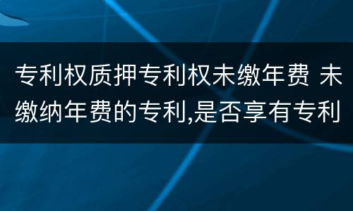 专利权质押专利权未缴年费 未缴纳年费的专利,是否享有专利权