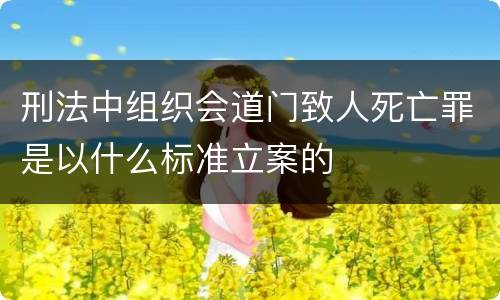 刑法中组织会道门致人死亡罪是以什么标准立案的
