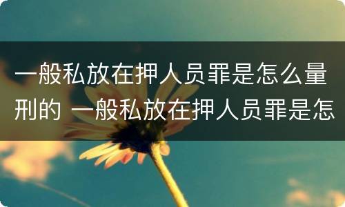 一般私放在押人员罪是怎么量刑的 一般私放在押人员罪是怎么量刑的标准