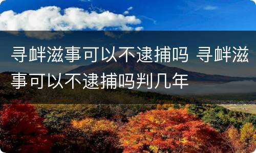 寻衅滋事可以不逮捕吗 寻衅滋事可以不逮捕吗判几年