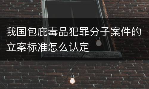 我国包庇毒品犯罪分子案件的立案标准怎么认定