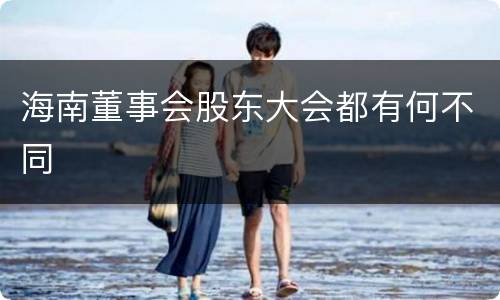 海南董事会股东大会都有何不同