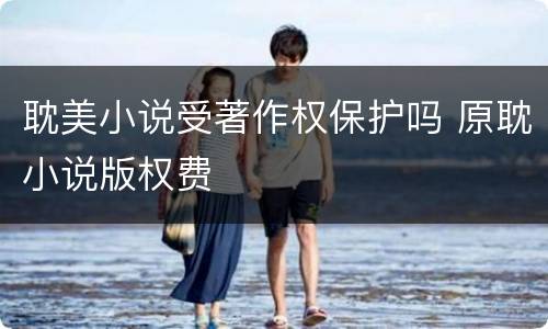 耽美小说受著作权保护吗 原耽小说版权费