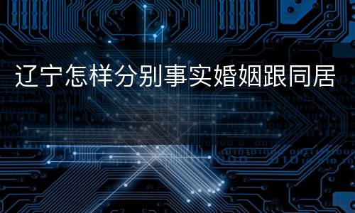 辽宁怎样分别事实婚姻跟同居