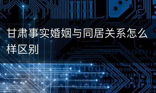甘肃事实婚姻与同居关系怎么样区别