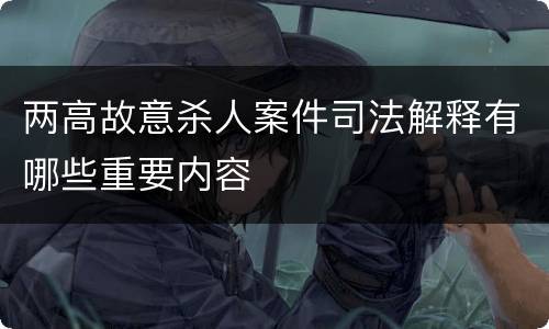 两高故意杀人案件司法解释有哪些重要内容