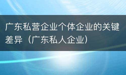广东私营企业个体企业的关键差异（广东私人企业）