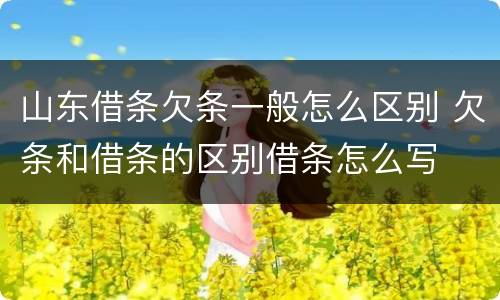 山东借条欠条一般怎么区别 欠条和借条的区别借条怎么写