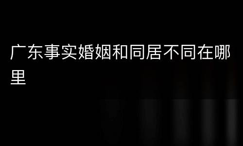 广东事实婚姻和同居不同在哪里
