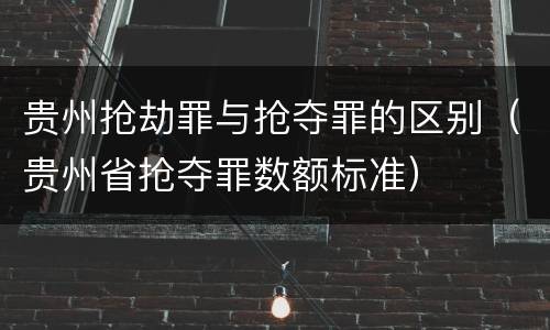 贵州抢劫罪与抢夺罪的区别（贵州省抢夺罪数额标准）