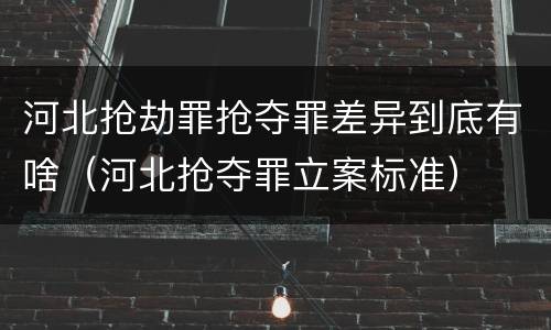 河北抢劫罪抢夺罪差异到底有啥（河北抢夺罪立案标准）