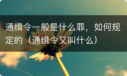 通缉令一般是什么罪，如何规定的（通缉令又叫什么）