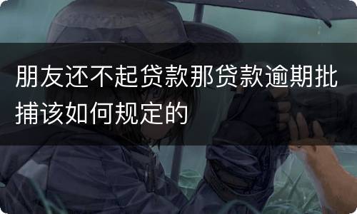 朋友还不起贷款那贷款逾期批捕该如何规定的