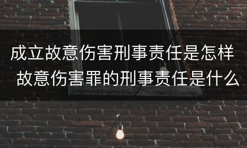 成立故意伤害刑事责任是怎样 故意伤害罪的刑事责任是什么